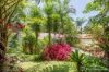 30 Long Road, Tamborine Mountain, Qld 4272-Image