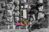 30 Mahoneys Road, Riddells Creek, Vic 3431-Image