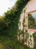 30 Manning Street, Watson, ACT 2602-Image