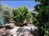 30 Mathias Ave, Cumberland Park, SA 5041-Image
