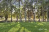 30 McCashney Way, Trentham, Vic 3458-Image