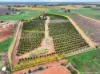 30 Merrijig Avenue, Red Cliffs, Vic 3496-Image