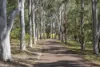 30 Moriarty Place, Yallingup, WA 6282-Image