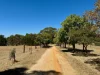 30 Morris Street, Maldon, Vic 3463-Image