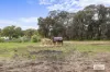 30 Navarre Road, Stawell, Vic 3380-Image