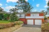 30 Nicholson Avenue, Thornleigh, NSW 2120-Image