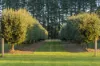 30 Pearsons Road, Trentham, Vic 3458-Image