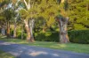 30 Pearsons Road, Trentham, Vic 3458-Image