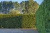 30 Pearsons Road, Trentham, Vic 3458-Image