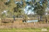 30 Percy Street, Warwick, Qld 4370-Image