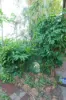 30 Pott Street, Moil, NT 0810-Image