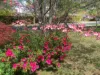 30 Quiros Street, Red Hill, ACT 2603-Image