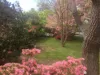 30 Quiros Street, Red Hill, ACT 2603-Image