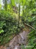 30 Red Gum Road, Cow Bay, Qld 4873-Image