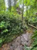 30 Red Gum Road, Cow Bay, Qld 4873-Image