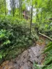 30 Red Gum Road, Cow Bay, Qld 4873-Image