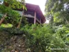 30 Red Gum Road, Cow Bay, Qld 4873-Image