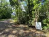 30 Red Gum Road, Cow Bay, Qld 4873-Image