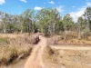 30 River Road, Biboohra, Qld 4880-Image