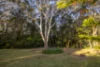 30 Rosemary Avenue, Bawley Point, NSW 2539-Image