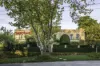 30 St Georges Road, Toorak, Vic 3142-Image