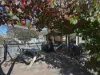 30 Swan Street, Bagdad, Tas 7030-Image