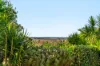 30 Tareeda Court, Spring Grove, NSW 2470-Image