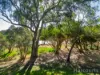 30 Thomasfield Place, Ravenswood, WA 6208-Image