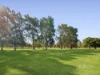 30 Tripod Street, Concord, NSW 2137-Image