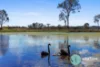 30 Turnberry Chase, Curra, Qld 4570-Image