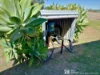 300 Lloyd Street, Chinchilla, Qld 4413-Image