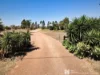 300 Lloyd Street, Chinchilla, Qld 4413-Image