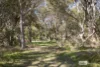 300 Mount Barker Road, Mount Barker, WA 6324-Image