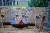 300 Old Callignee Road, Callignee, Vic 3844-Image