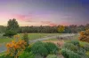 300 Old Callignee Road, Callignee, Vic 3844-Image
