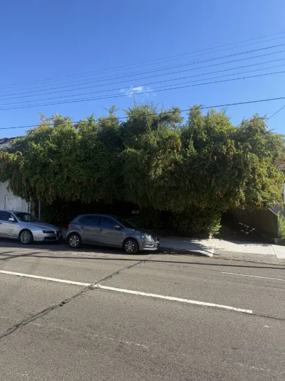 300 Old Canterbury Road, Ashfield, NSW 2131
