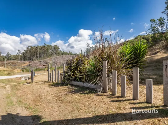300 Reservoir Drive, Wynyard, Tas 7325-Image