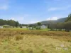 3001 Gordon River Road, Tyenna, Tas 7140-Image