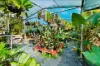 302 Upper Dawson Road, The Range, Qld 4700-Image