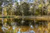 303 Sawmill Road, Springmount, Vic 3364-Image