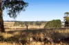 303 Sawmill Road, Springmount, Vic 3364-Image