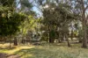 303 Sawmill Road, Springmount, Vic 3364-Image