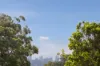 304 Jersey Road, Woollahra, NSW 2025-Image