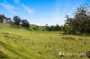 305 Bass Valley Road, Loch, Vic 3945-Image