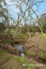 305 Bass Valley Road, Loch, Vic 3945-Image