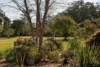 305 Dath Henderson Road, Tinbeerwah, Qld 4563-Image