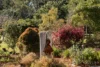 305 Dath Henderson Road, Tinbeerwah, Qld 4563-Image