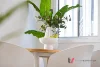 305 Finucane Road, Alexandra Hills, Qld 4161-Image