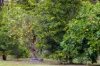 305 Gumboil Road, Lake Macdonald, Qld 4563-Image