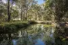 305 Whitfield Springs Road, Beermullah, WA 6503-Image
